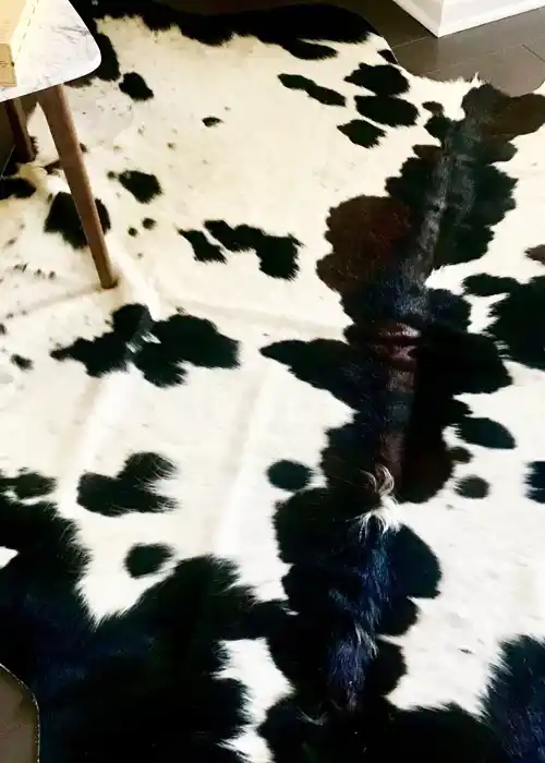 tricolor cowhide rug