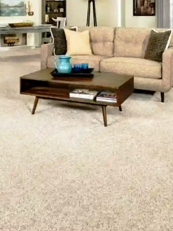 wall to wall carpet flooring