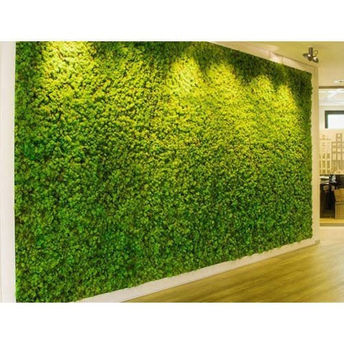  Artificial Grass Wall Design Ideas For Homes In Dubai