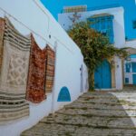 Read more about the article Where Can You Use Outdoor Carpets in Dubai?