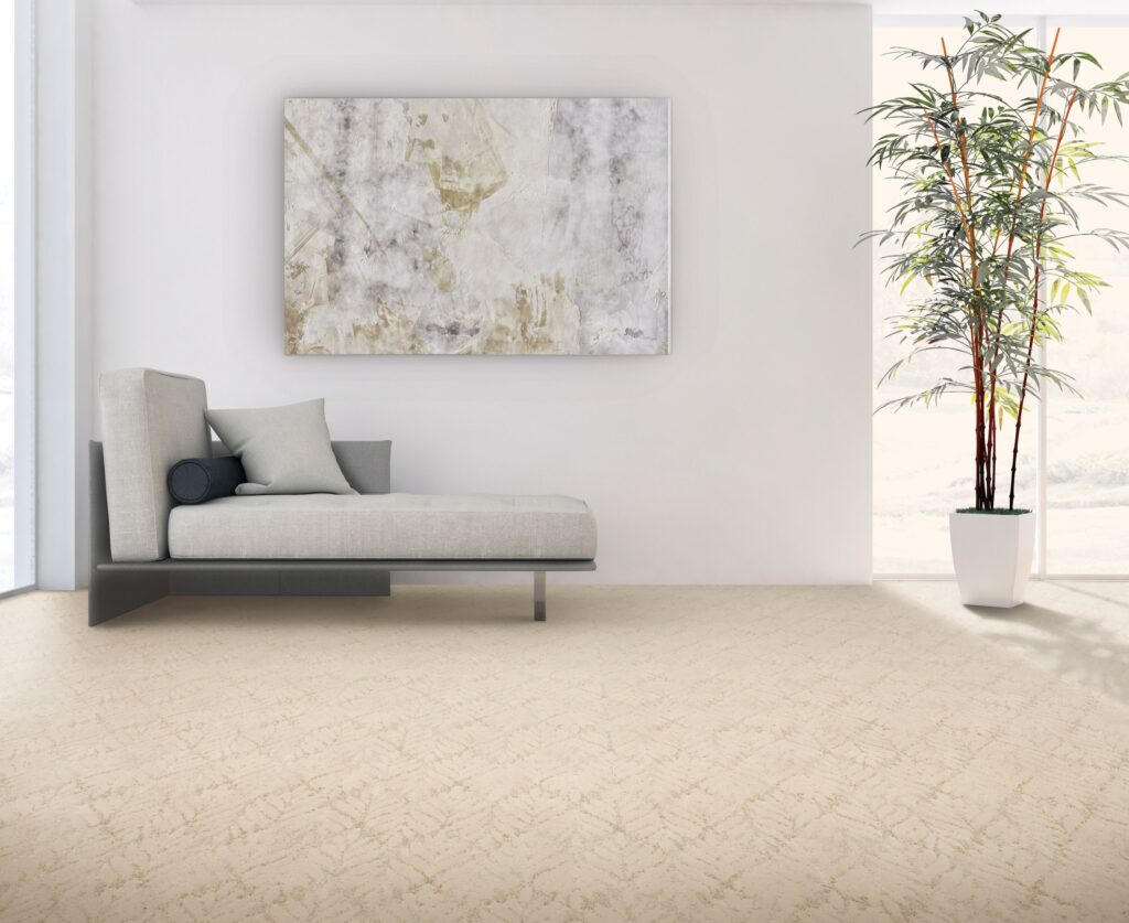 Why Choose Carpet Wall to Wall for Your Home